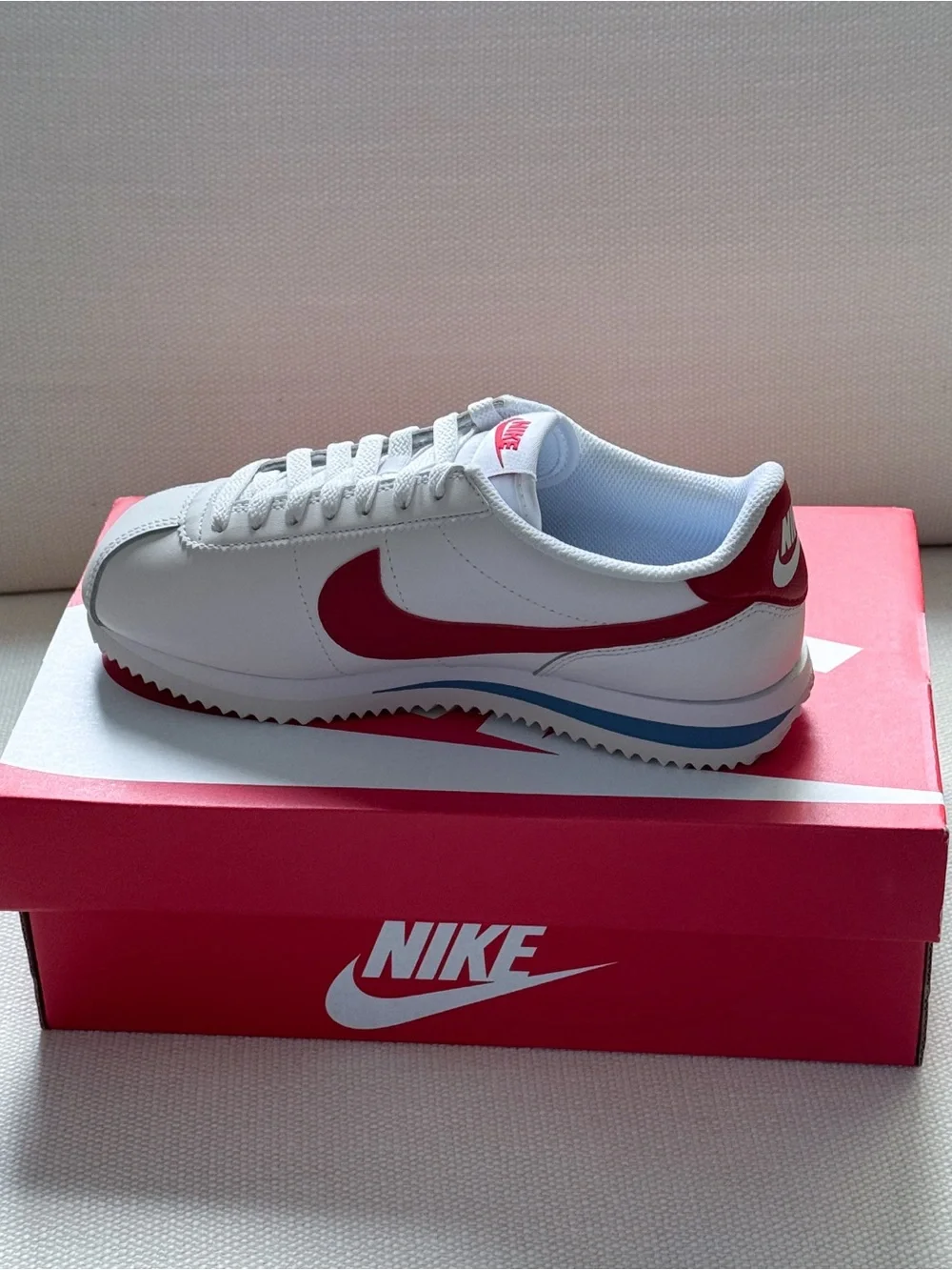 Nike low profile